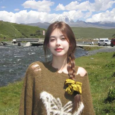 高斯电子公司